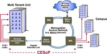 Figure 4. Diagram of a circuit emulated access network